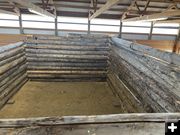 Fort cabin construction. Photo by Dawn Ballou, Pinedale Online.