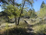 This trail makes a nice day hike or longer backpacking trip. 