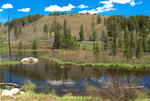 Beaver pond
