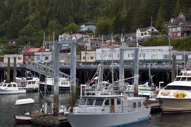 Ketchikan Harbor. Photo by Dave Bell.