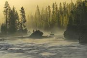 Firehole Smooth Waters. Photo by Dave Bell.