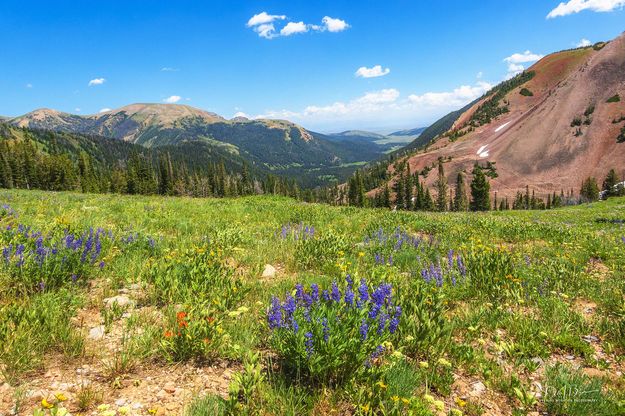 Wyoming Vista. Photo by Dave Bell.