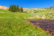 Beginning Of A Stream. Photo by Dave Bell.