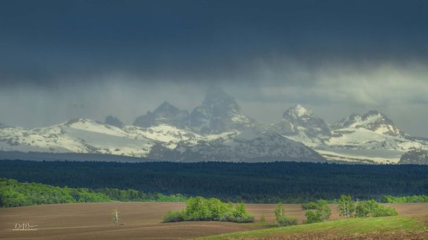 Rain Curtain. Photo by Dave Bell.