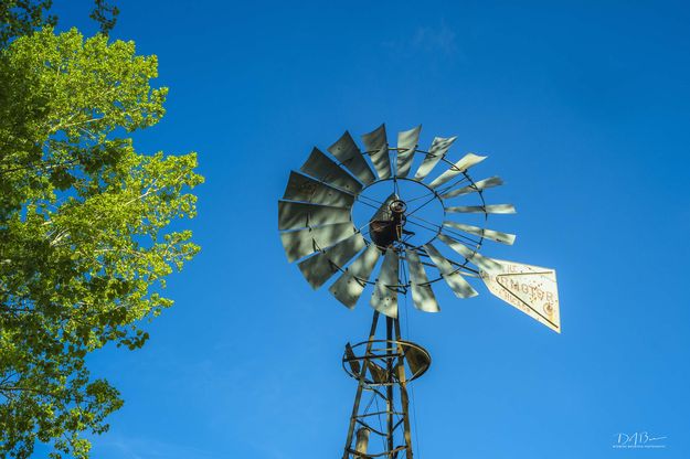 Aermotor. Photo by Dave Bell.