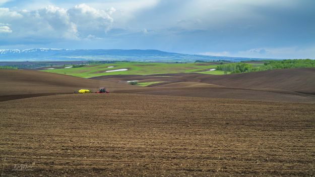 Green Fields and Snow. Photo by Dave Bell.