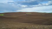 Huge Field. Photo by Dave Bell.