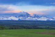 Green Fields and Forests. Photo by Dave Bell.