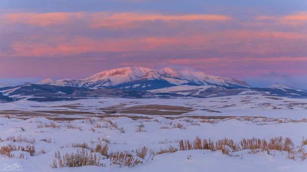 . Photo by Dave Bell.