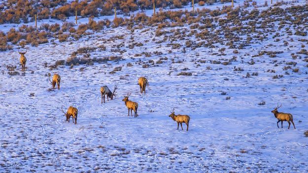 . Photo by Dave Bell.