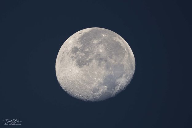 Luna At 90%. Photo by Dave Bell.