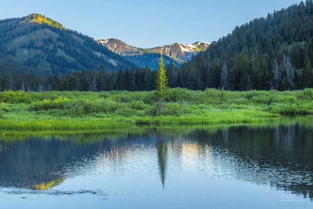 Singular Reflection. Photo by Dave Bell.