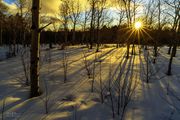 Winter LIght. Photo by Dave Bell.