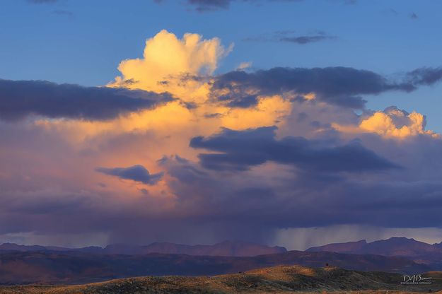 Sunset Light From Top To Bottom. Photo by Dave Bell.