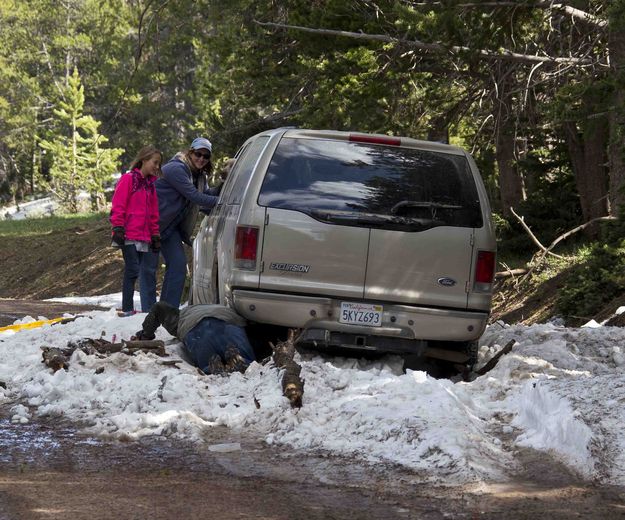 Nice Family--Very Stuck--Been Digging For An Hour--Notice License Plate. Photo by Dave Bell.