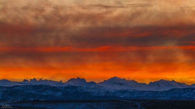 . Photo by Dave Bell.