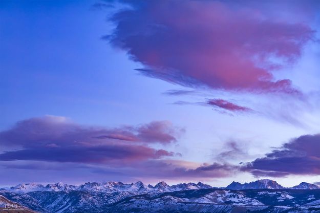 . Photo by Dave Bell.