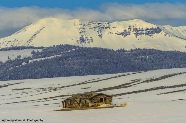An Old Homestead House. Photo by Dave Bell.