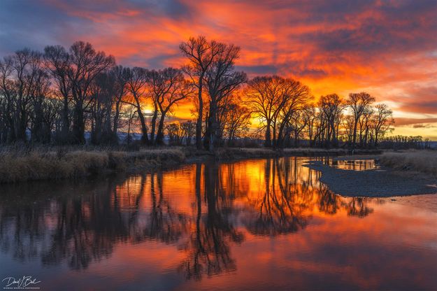 Red Sky. Photo by Dave Bell.