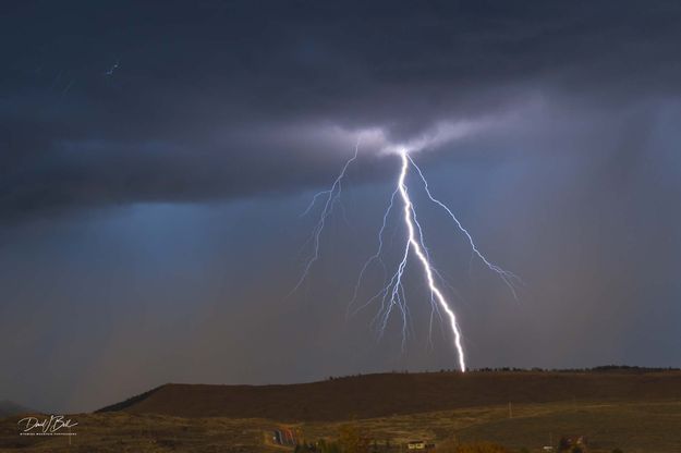 . Photo by Dave Bell.