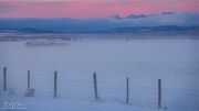 Foggy Bottom--Sunset At Pape Ranches. Photo by Dave Bell.