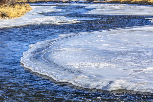 . Photo by Dave Bell.