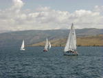 Sailing Regatta