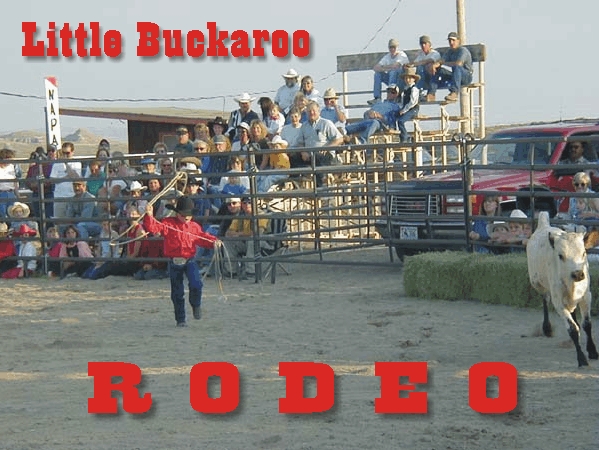 Little Buckaroo Rodeo 2000