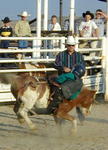 Bronc rider