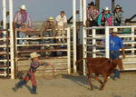 Calf roping