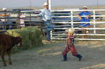 Calf Ropin'