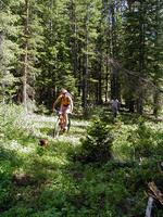 Mountain biking trails at White Pine Resort. Pinedale Online photo