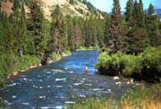 Greys River fisherman. Pinedale Online photo.