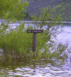 No Camping