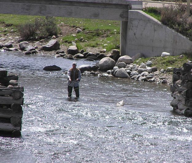 Fishing the Green. Photo by Pinedale Online.