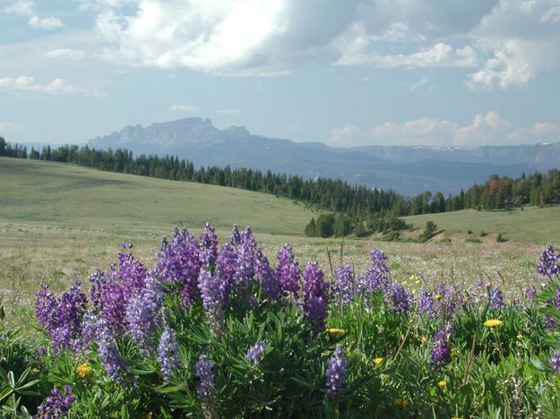 Absaroka Mountains. Photo by Clint Gilchrist, Pinedale Online.