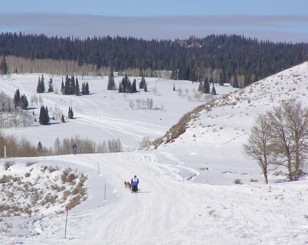 Scenic trail course. Photo by Dawn Ballou, Pinedale Online.