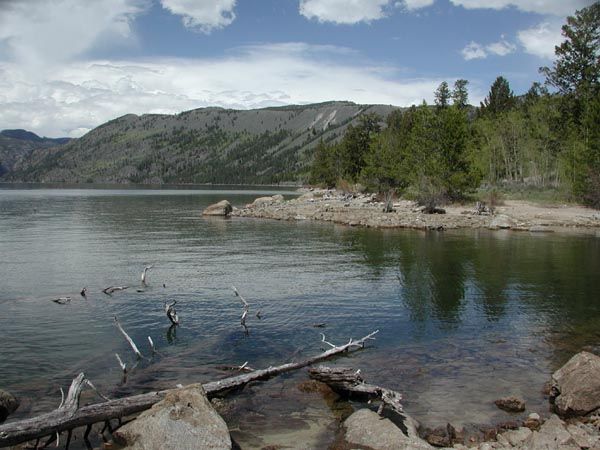 Fremont in Summer. Photo by Pinedale Online.