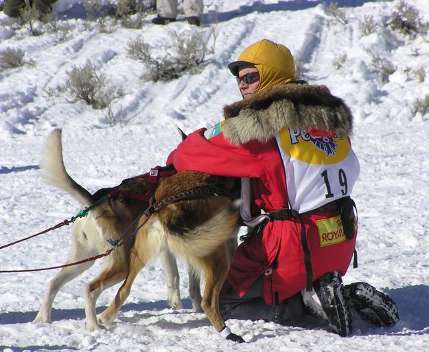 Talking to the dogs. Photo by Pinedale Online.