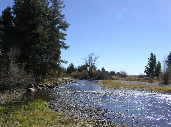 Pine Creek. Photo by Dawn Ballou, Pinedale Online.