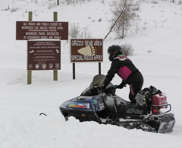 Griz Country. Photo by Dawn Ballou, Pinedale Online.