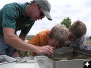 Finding bugs. Photo by Dawn Ballou, Pinedale Online.