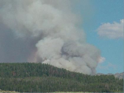 Smoke Column. Photo by U.S. Forest Service.