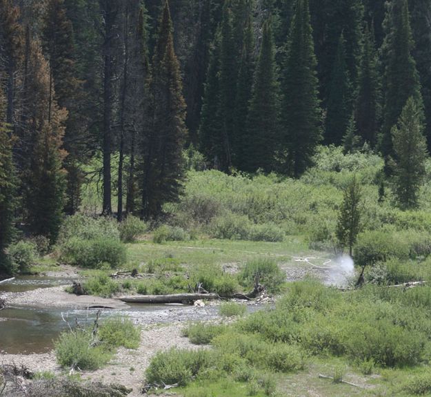 Creek Pump. Photo by Dawn Ballou, Pinedale Online.