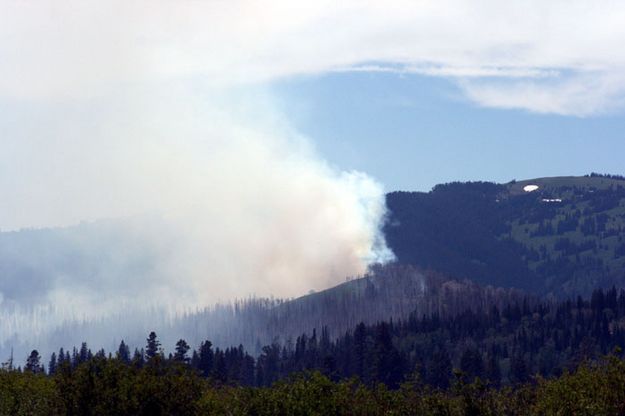 Old Burn Reburn. Photo by Dawn Ballou, Pinedale Online.