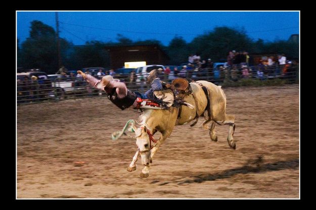 Flying Off. Photo by Tara Bolgiano, Blushing Crow Photography.