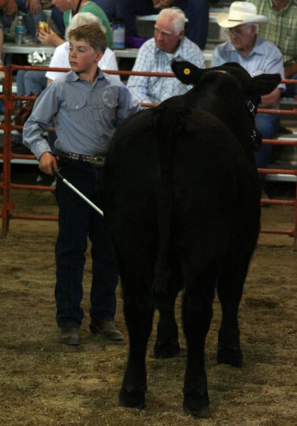 Walden Campbell. Photo by Clint Gilchrist, Pinedale Online.