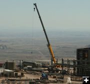 Crane. Photo by Dawn Ballou, Pinedale Online.