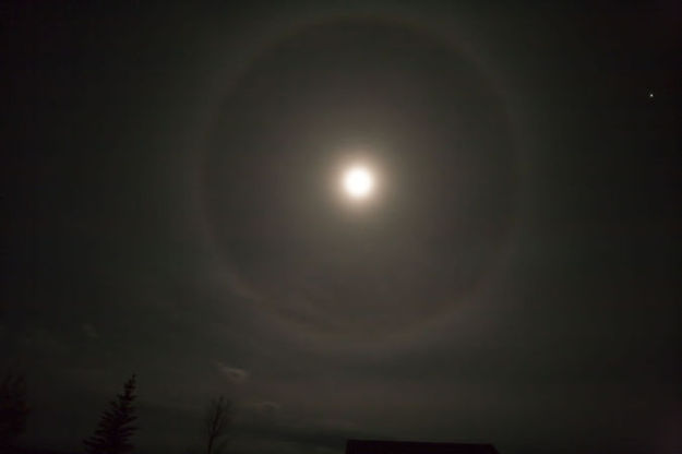 Ring around the Moon. Photo by Dave Bell.