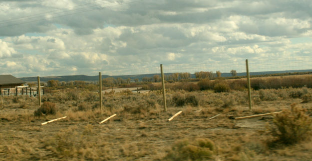 New fence. Photo by Dawn Ballou, Pinedale Online.